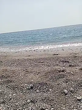 Snapshot of NAvoglia chatting on July 14, 2026, 1:28 pm NAvoglia online show from July 14, 2026, 1:28 pm