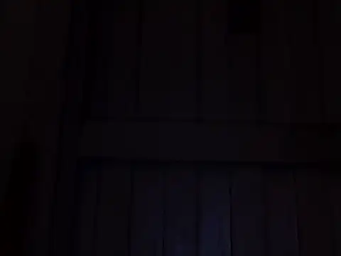 beatle666 online show from November 7, 2025, 2:11 am