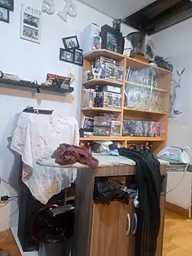 Snapshot of rodos chatting on September 10, 2025, 12:49 pm rodos online show from September 10, 2025, 12:49 pm