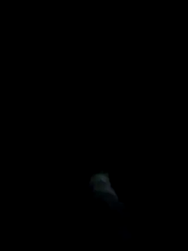 dominationmybigdick online show from March 27, 2026, 11:15 pm