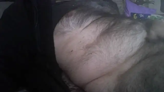 arka6 online show from February 18, 2026, 11:28 am