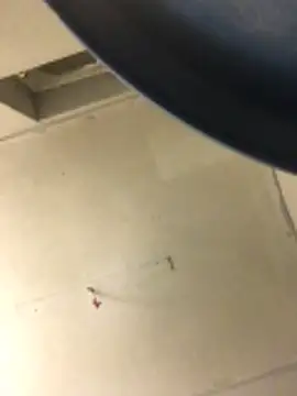 cumcum94 online show from February 17, 2026, 7:53 pm