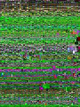 Uncleuncutmushroom online show from July 14, 2026, 7:57 am
