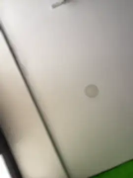 Dulce  Boyd online show from February 17, 2026, 2:02 pm