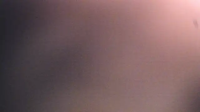 Dhalila  online show from December 17, 2025, 1:17 pm