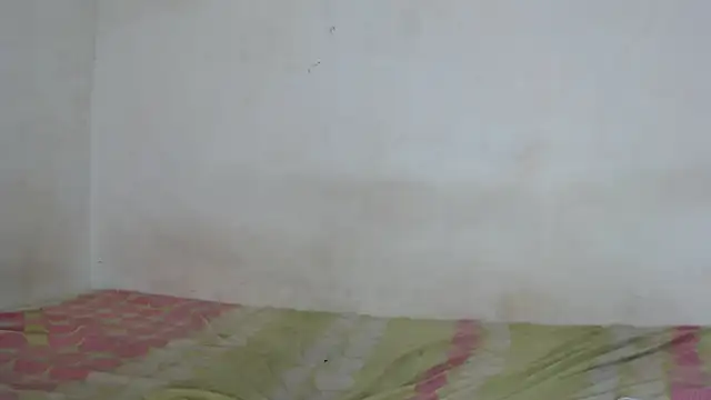 Snapshot of Majo_BigTits chatting on November 30, 2025, 8:13 pm Majo BigTits online show from November 30, 2025, 8:13 pm