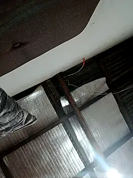 alansex 19 online show from October 25, 2025, 1:57 am