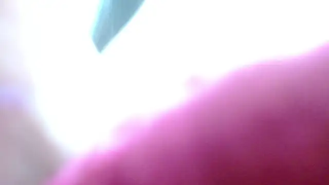 Snapshot of camilah_tk chatting on May 13, 2026, 12:24 pm camilah tk online show from May 13, 2026, 12:24 pm