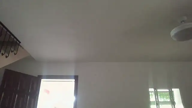 llopaco online show from June 27, 2026, 10:31 am