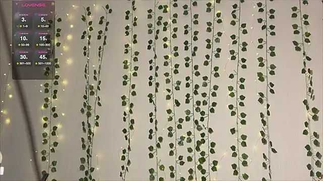 Asian Vi online show from October 1, 2025, 11:38 am