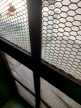 indian couple4 online show from February 7, 2026, 8:40 am