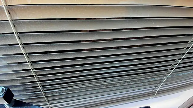 Snapshot of SaraClub_JY chatting on October 21, 2025, 10:43 pm SaraClub JY online show from October 21, 2025, 10:43 pm