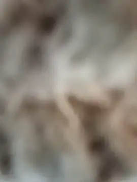 Snapshot of mauroxx08 chatting on April 5, 2026, 3:20 pm mauroxx08 online show from April 5, 2026, 3:20 pm