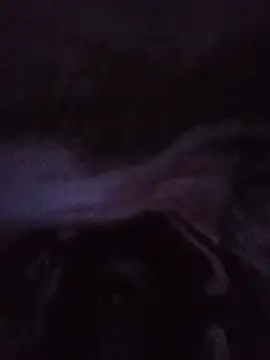 lilpip online show from July 5, 2026, 10:50 pm