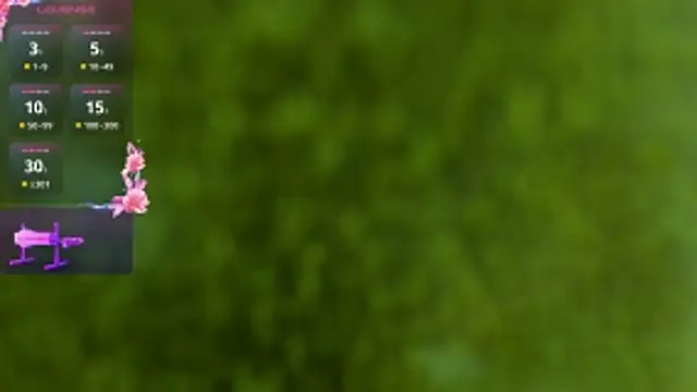 Ivaannaa  online show from February 4, 2026, 11:16 am