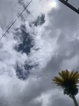 Snapshot of MaxxxSteil chatting on November 12, 2025, 3:56 pm MaxxxSteil online show from November 12, 2025, 3:56 pm