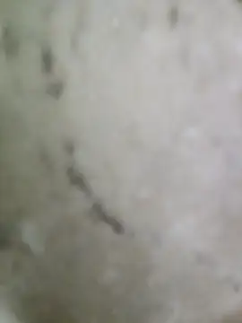 Snapshot of pussyfatasss chatting on September 27, 2025, 5:23 am pussyfatasss online show from September 27, 2025, 5:23 am