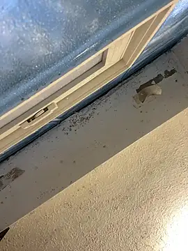 Snapshot of YODAPESOS chatting on February 23, 2026, 12:57 pm YODAPESOS online show from February 23, 2026, 12:57 pm