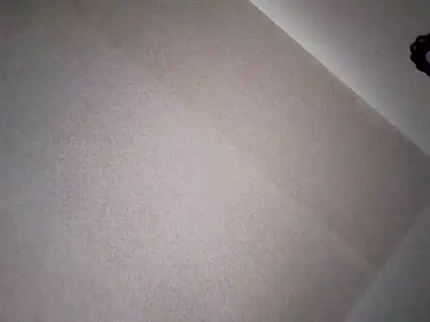 Snapshot of Butterflysky777 chatting on December 3, 2025, 8:07 pm Butterflysky777 online show from December 3, 2025, 8:07 pm