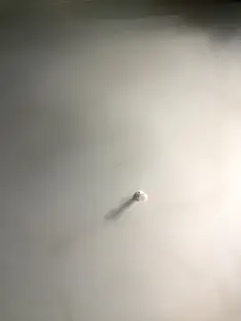 1Zoey101 online show from December 18, 2025, 6:19 am