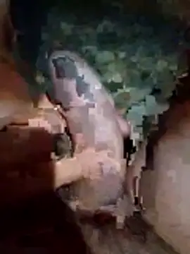 Luis katya online show from February 10, 2026, 1:32 am