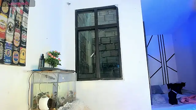 CRAZY-BOY99 online show from February 11, 2026, 11:37 am