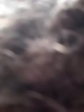 littledick947 online show from March 16, 2026, 8:13 pm