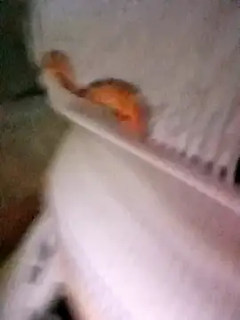 patrona sexooo online show from October 11, 2025, 12:58 pm