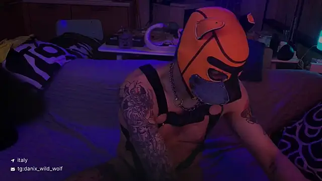 danix wild wolf online show from March 15, 2026, 10:49 pm