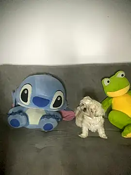 Mia cullen  online show from September 16, 2025, 8:26 am