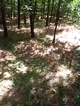 Snapshot of sile47 chatting on August 9, 2026, 10:53 am sile47 online show from August 9, 2026, 10:53 am