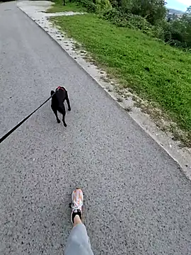 Snapshot of svenpfeifer chatting on September 16, 2025, 6:58 am svenpfeifer online show from September 16, 2025, 6:58 am