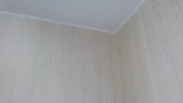  Black-Panther  online show from October 2, 2025, 10:55 am