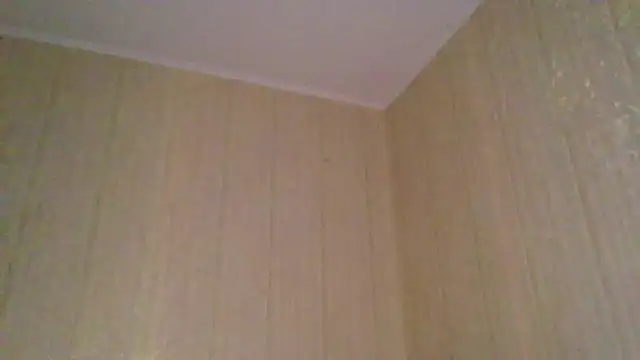  Black-Panther  online show from November 12, 2025, 2:06 pm