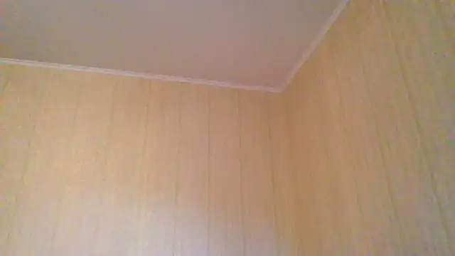 Snapshot of _Black-Panther_ chatting on June 11, 2026, 4:05 pm Black-Panther online show from June 11, 2026, 4:05 pm