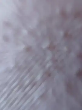 Snapshot of So8nan chatting on September 21, 2025, 1:02 pm So8nan online show from September 21, 2025, 1:02 pm