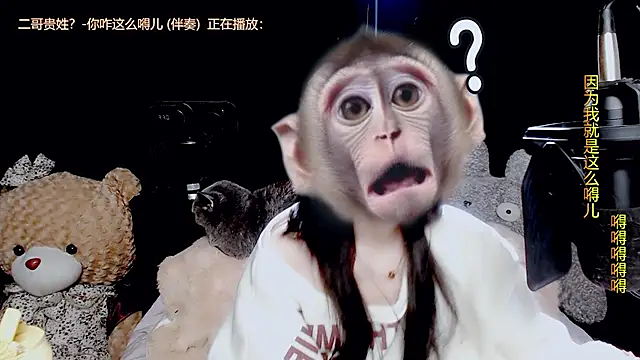 9ban online show from November 13, 2025, 10:47 am