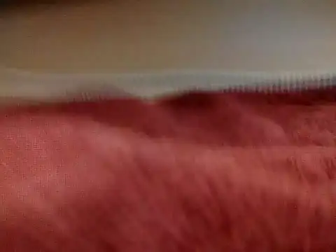 sexiebabi online show from March 16, 2026, 2:21 pm