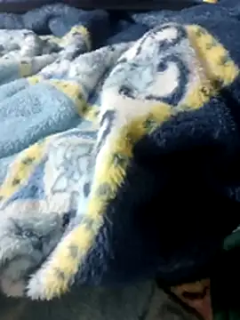 luuiss12 online show from January 13, 2026, 8:14 pm