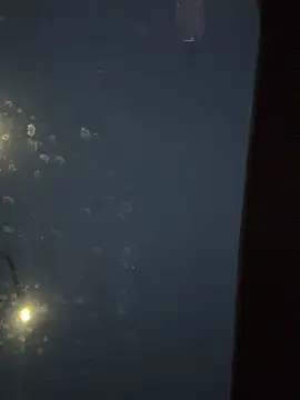 Eriksson00 online show from December 19, 2025, 7:48 am