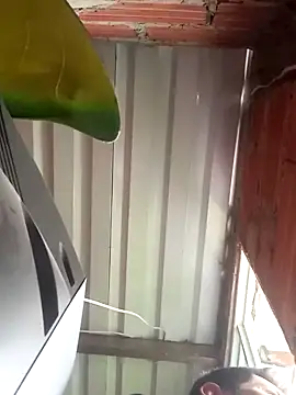 527ca online show from April 4, 2026, 3:42 pm