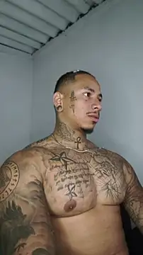 Snapshot of David_tatto1 chatting on June 21, 2026, 3:53 am David tatto1 online show from June 21, 2026, 3:53 am
