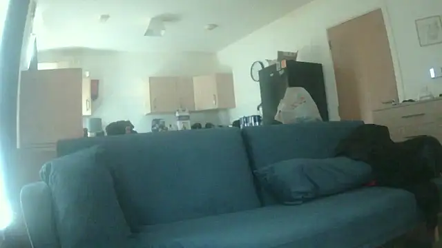 Snapshot of avamaxwell chatting on May 21, 2026, 11:28 am avamaxwell online show from May 21, 2026, 11:28 am