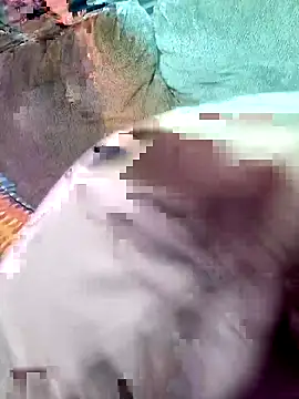 wowokthankyou online show from March 3, 2026, 8:09 am