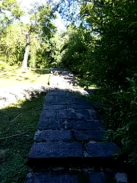 zack23088 online show from October 4, 2025, 12:41 am