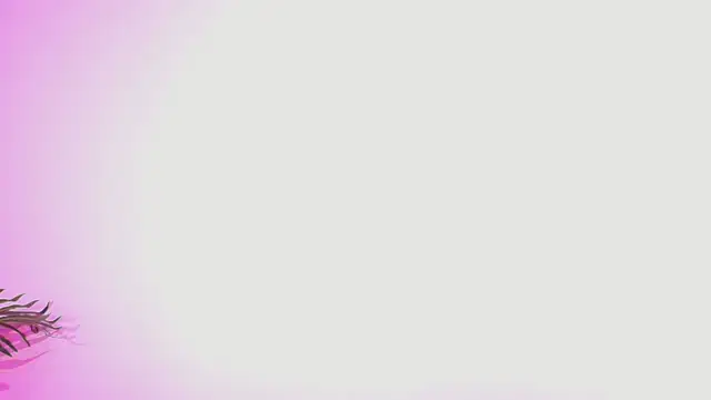 Snapshot of Lana_ortega chatting on July 5, 2026, 4:52 am Lana ortega online show from July 5, 2026, 4:52 am