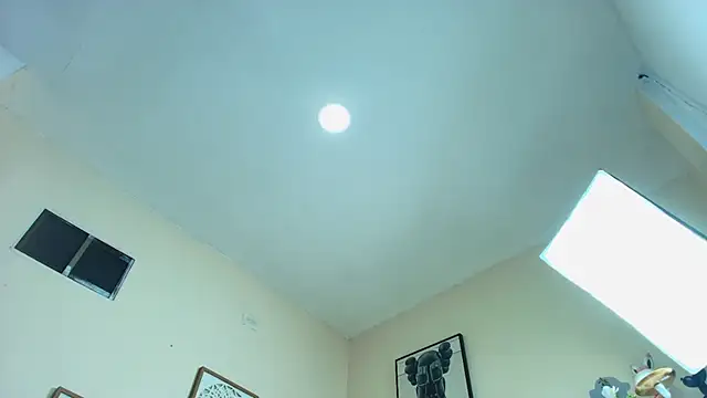 Snapshot of dulce_fiore07 chatting on July 27, 2026, 12:12 pm dulce fiore07 online show from July 27, 2026, 12:12 pm