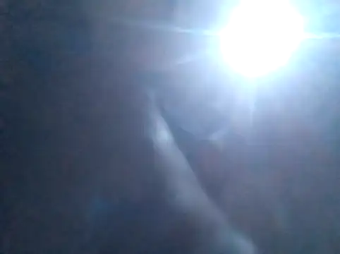 S C1 online show from February 5, 2026, 2:11 pm