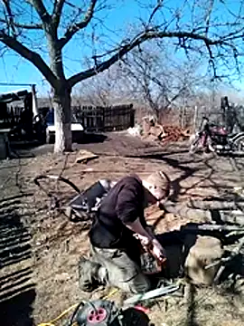 Alexilon online show from March 10, 2026, 11:15 am