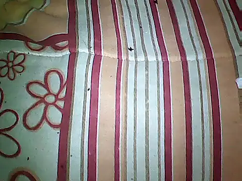 20cmloiro online show from September 16, 2025, 3:51 am